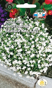 Лобелия амп. Белый Каскад 0.06г, СеДеК