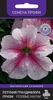 Петуния грандифлора призм Розовые Жилки 30 шт Профи Поиск, Крупные цветки, украшенные ажурным переплетением