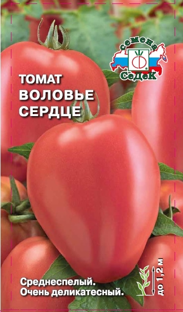 Выращивание томатов Воловье сердце