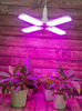 Лампа LED bio для растений P65-32W/SPSB/ цоколь E27/FR/P4 4-лепестковая, Uniel