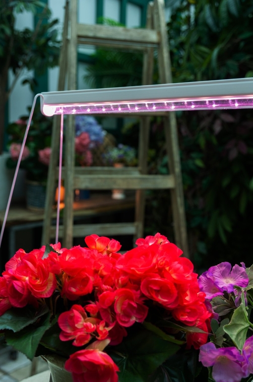 Светильник LED bio для растений 35W 1150мм ULI-P13-35W/SPLE для фотосинтеза, Uniel