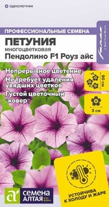 Петуния Пендолино F1 Роуз айс многоцветковая 5 шт, Подходит для выращивания в грунте на клумбах, в подвесных кашпо, вазонах, балконных ящиках. Можно формировать как почвопокровное или ампельное растение, Семена Алтая