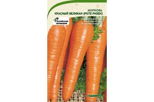 Морковь Красный великан (Роте Ризен) 2 г,Подходит для длительного хранения (до весны) без потери вкусовых качеств, Садовита