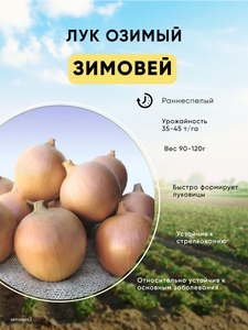 Лук-севок Зимовей выборок 1 кг,Россия
