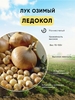 Лук-севок Ледокол выборок 1 кг, Россия
