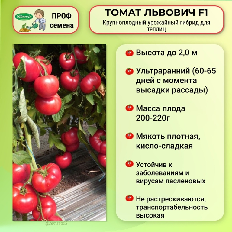Томат Львович F1 5 шт (фасовка) Global Seeds, ЖивойОгород