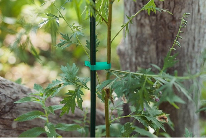 Подвязчик растений Tapetool Тапенер степлер садовый bz-B, подвязка растений производится в 30 раз быстрее