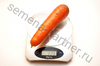 Морковь Канада F1 0.5г, Великолепно растёт на тяжёлых почвах, Партнёр