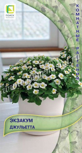 Экзакум (Персидская Фиалка) Джульетта 5шт, Многочисленные миниатюрные ароматные цветки диаметром 1,5 см, Поиск