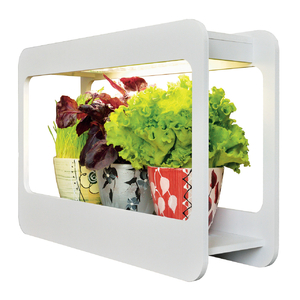 Светильник LED bio Минисад White 15W с таймером для выращивания микрозелени,пряно-ароматических трав
