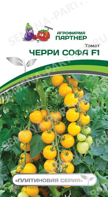 Томат Черри Софа F1 5шт, томаты высокого товарного качества, LSL-типа, способны храниться до 2 месяцев,Партнёр