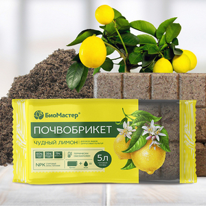Почвобрикет Чудный Лимон 5л квадратный, для всех видов цитрусовых культур, Био-Мастер