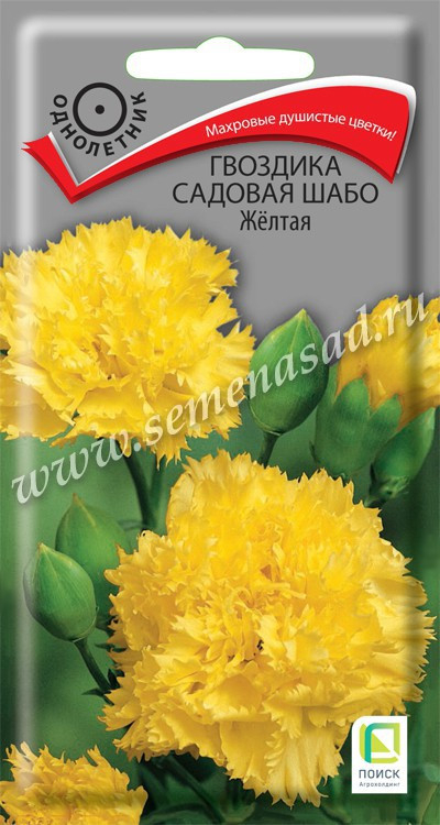 Гвоздика садовая Шабо Желтая 0.1г Поиск, Махровые душистые цветки!