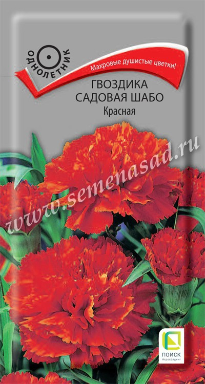 Гвоздика садовая Шабо Красная 0.1г Поиск, Махровые душистые цветки!