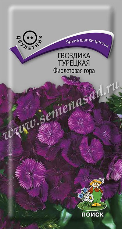 Гвоздика тур. Фиолетовая Гора 0.25г Поиск, Очень привлекательное растение с плотными приплюснутыми ярко