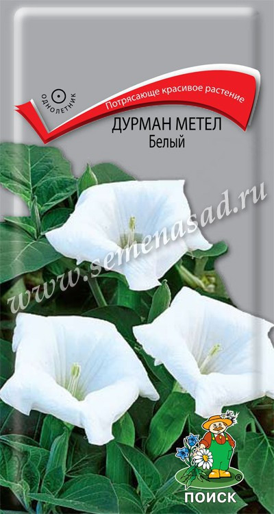 Датура (Дурман) Белый метельч. 1г Поиск, Крупные воронковидные белые цветы.