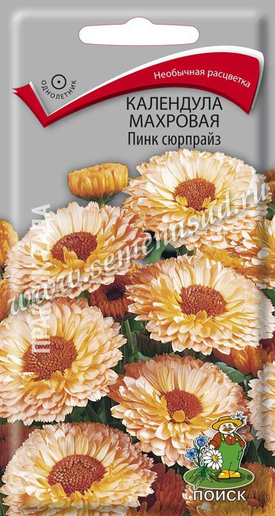 Календула Пинк Сюрпрайз махр. 0.4г Поиск, Одна из самых необычных расцветок среди календул.