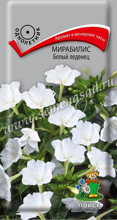 Мирабилис Белый Леденец 1г Поиск, Ароматные цветки белой окраски диаметром 5 6 см, раскрываются после 15