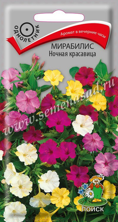 Мирабилис Ночная Красавица 2,5г Поиск, Ароматные цветки разнообразной окраски