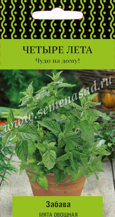 Мята Забава овощн. 20шт Поиск, Пряное лекарственное и эфиромасличное растение