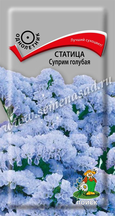Статице (кермек) Суприм Голубая 0.15г Поиск, Если Вы хотите лучшее -  это СУПРИМ, прекрасные Сухоцветы!