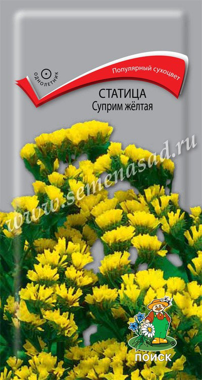 Статице (кермек) Суприм Жёлтая 0.15г Поиск, Если Вы хотите лучшее, то это СУПРИМ, прекрасные Сухоцветы!