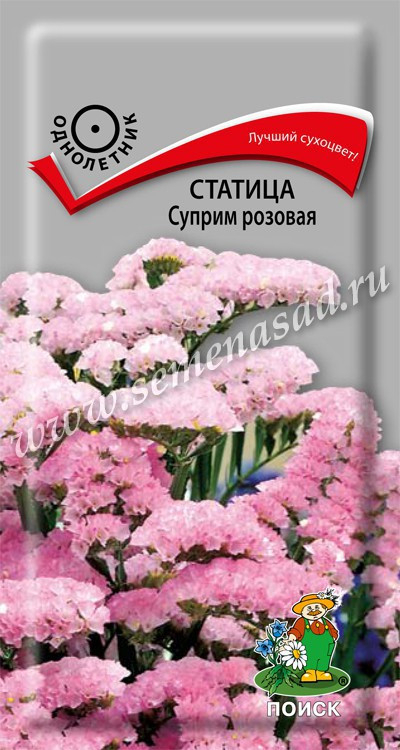 Статице (кермек) Суприм Розовая 0.15г Поиск, Если Вы хотите лучшее - это СУПРИМ, прекрасные Сухоцветы!