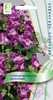 Торения Мармелад Малиновый 5шт Поиск, Продолжительное цветение и простота в выращивании.