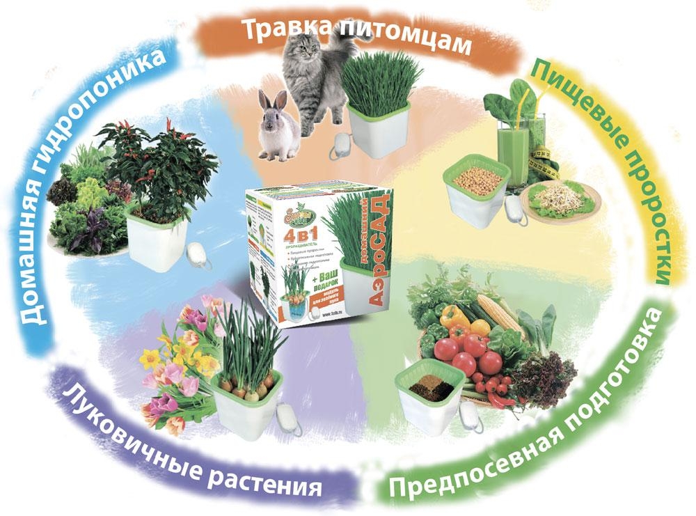 Проращиватель АэроСад , пищевые проростки, микрозелень,зелёный лук, предпосевная подготовка, зимний огород