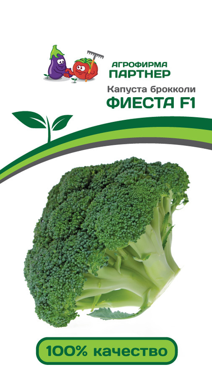 Капуста брокколи Фиеста F1 10шт, ценится за высокое содержание аминокислот, витаминов, антиоксидантов, Партнёр