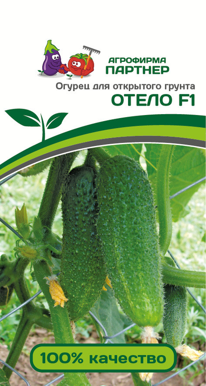 Огурец Отелло F1 10шт, стабильный, урожайный гибрид, можно срывать на пикули длиной 5-6 см, Партнёр