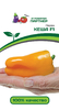 Перец сладкий Кеша F1 5 шт,можно с успехом выращивать на подоконнике, в теплице и в открытом грунте, Партнёр