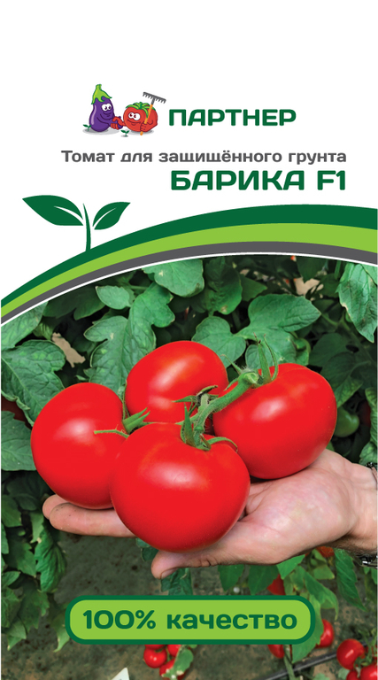 Томат Барика F1 5шт,Внешний вид томатов очень красивый: наполненного красного цвета, с хорошим блеском,Партнёр