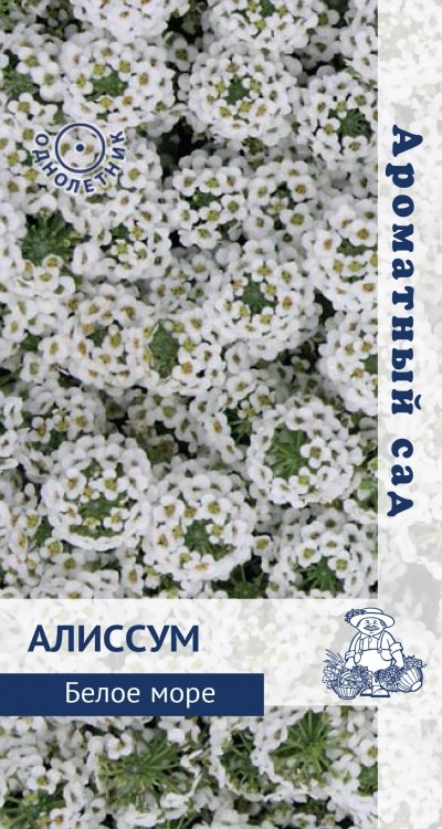 Алиссум мор. Белое Море 0.3г Поиск, Миниатюрное растение с мелкими цветками и медовым запахом.