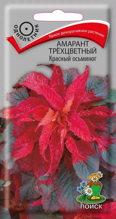 Амарант Красный Осьминог 0.1г Поиск, Очень яркое декоративно лиственное растение!