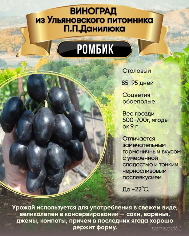 Виноград Ромбик 1 шт, Ульяновский Виноград