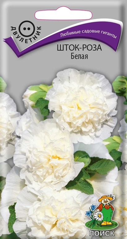 Шток-роза Белая 0.1 г, Поиск