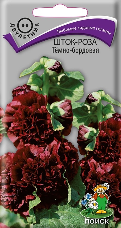 Шток-роза Темно-Бордовая 0.1 г, Поиск