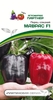 Перец сладкий Маврас F1 5 шт, В технической спелости плоды имеют насыщенную темно-фиолетовую окраску, в биологической – темно-красные, Партнёр